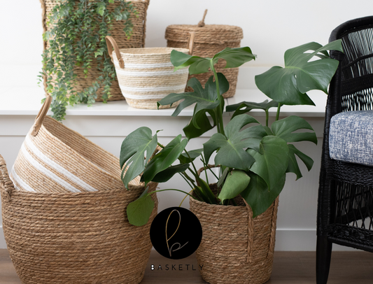 www.basketly.co.za