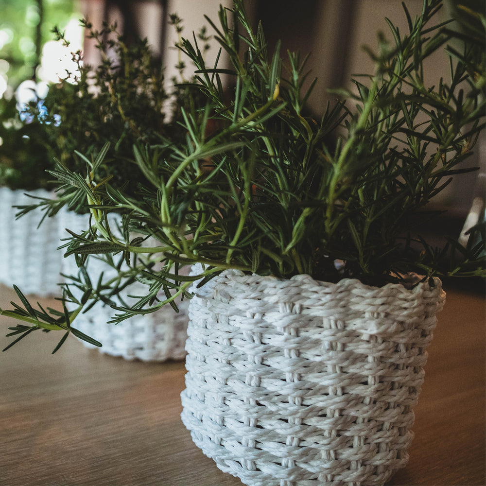 White Flower Baskets