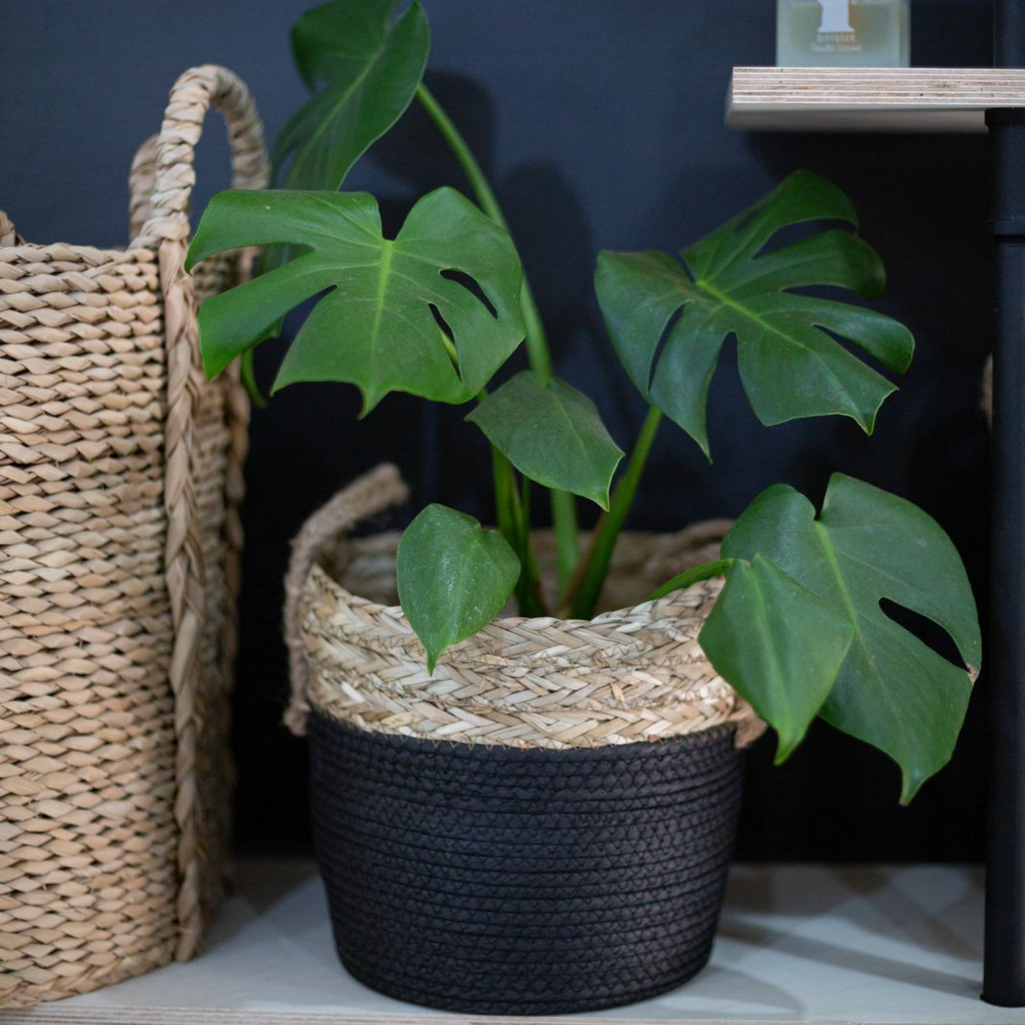 Black Bottom Basket Grass Top