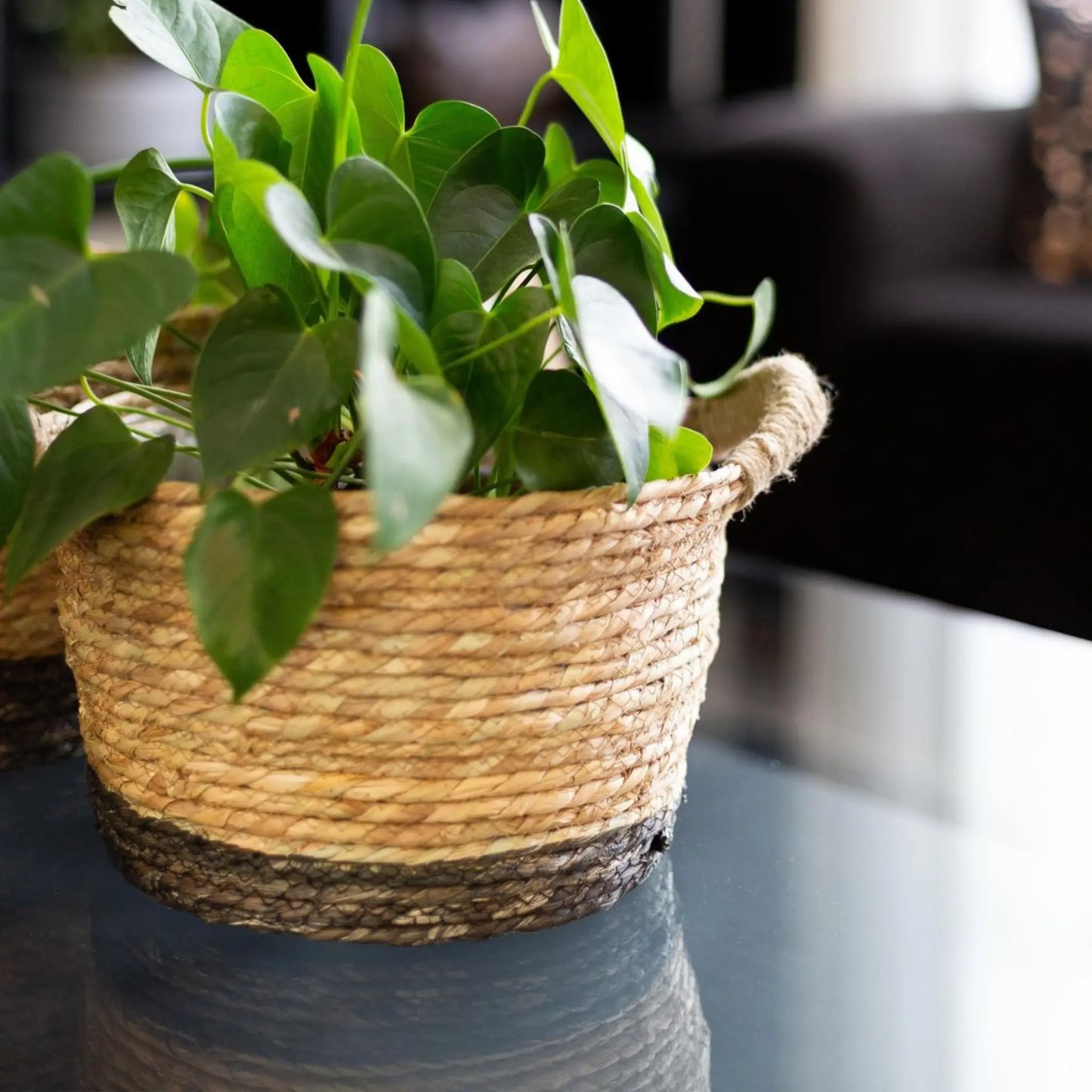 Black Two-tone Planter Basket with Hemp Handles Basketly