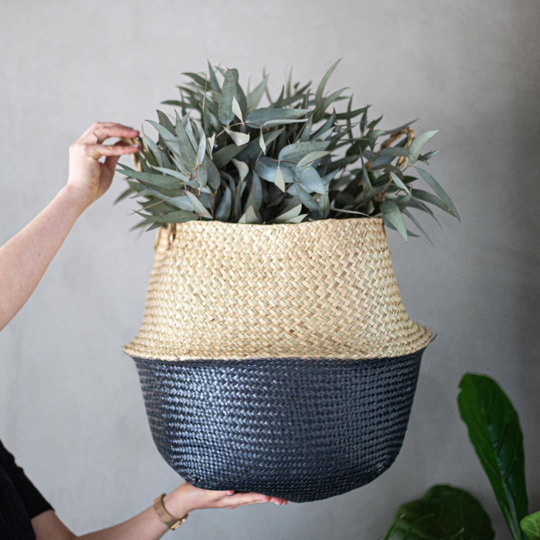 Black Bottom Seagrass Belly Basket