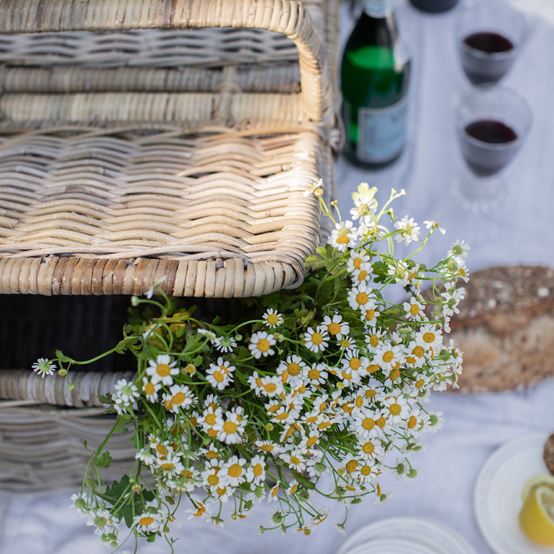 Packing the Perfect Picnic Basket with Our Bamboo & Rattan Picnic Basket