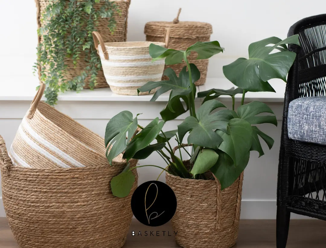 www.basketly.co.za