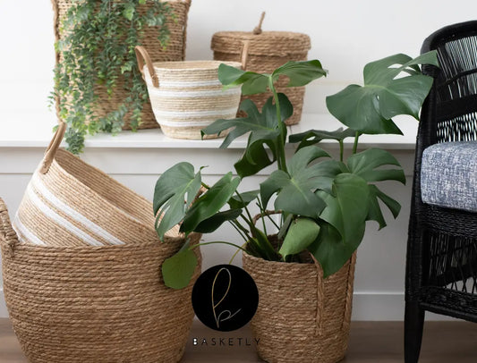 www.basketly.co.za