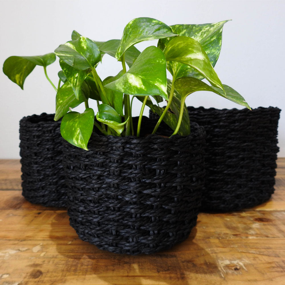 Black Flower Baskets