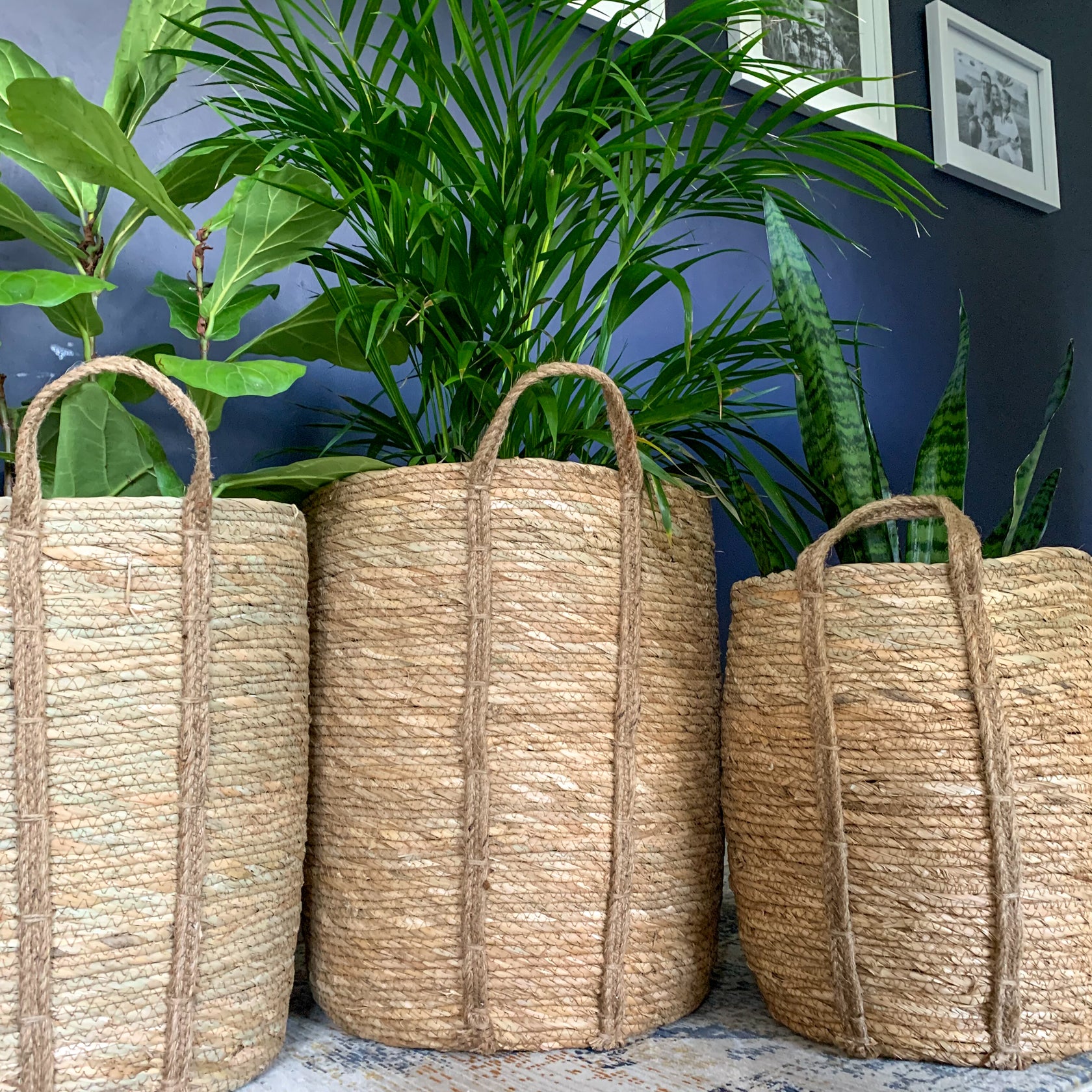 Round Natural Grass Woven Basket with Grass Handle Basketly