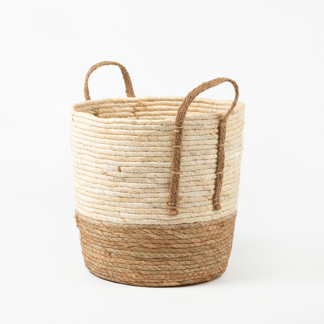 All Collections – Basketly